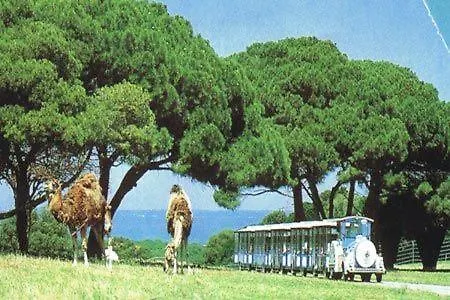 Villa Villa Gracia - Big House, Pool, Bbq, Playground & Table Tennis, Game Room With Billiards & Table Football, Pula, Istria *
